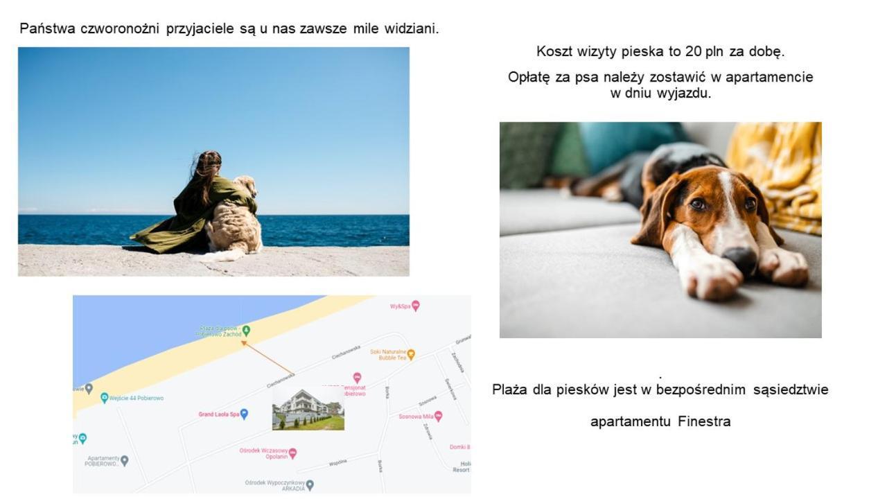 Apartament Finestra, Przy Morzu, Ul Grunwaldzka 12 D23 Pobierowo Buitenkant foto